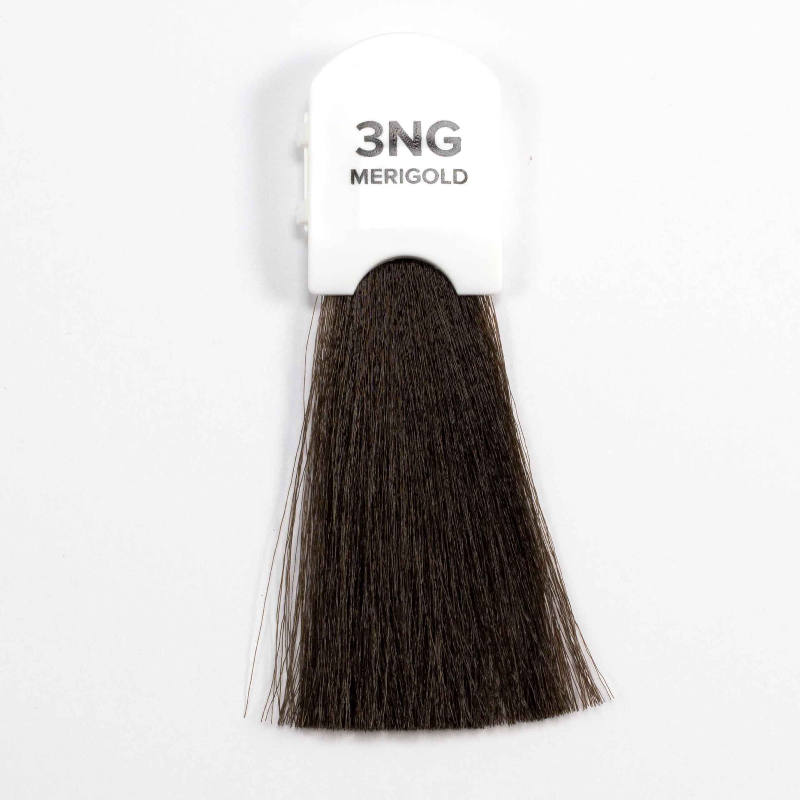 3NG MERIGOLD (Preis pro Packung mit 3 Stück)