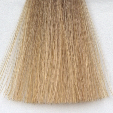 UNDER 60 g – COLORE: GOLD 10.32/10GP